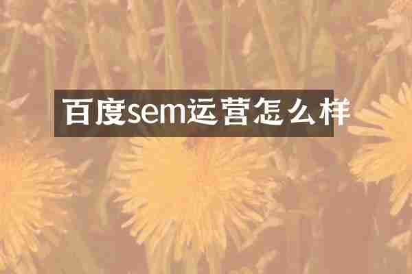 百度sem运营怎么样