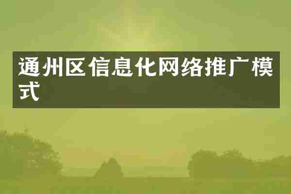 通州区信息化网络推广模式