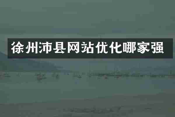 徐州沛县网站优化哪家强