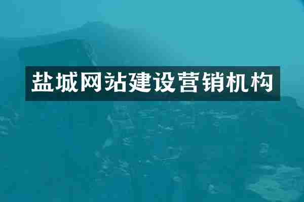 盐城网站建设营销机构