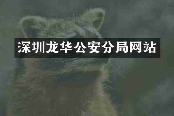 深圳龙华公安分局网站