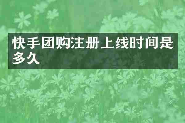 快手团购注册上线时间是多久