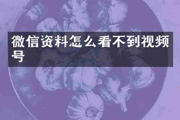 微信资料怎么看不到视频号