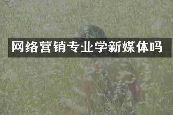 网络营销专业学新媒体吗