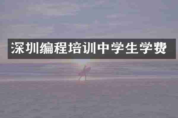 深圳编程培训中学生学费