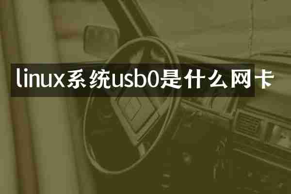 linux系统usb0是什么网卡
