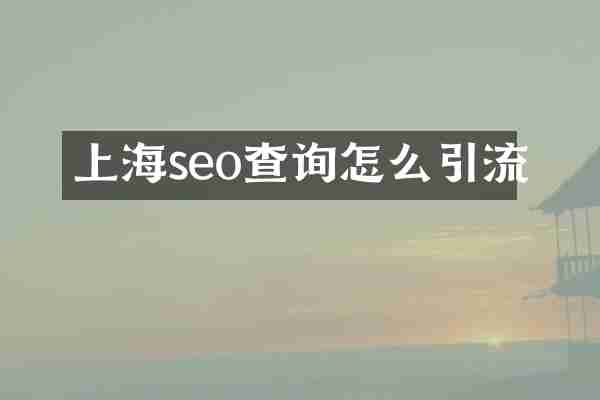 上海seo查询怎么引流