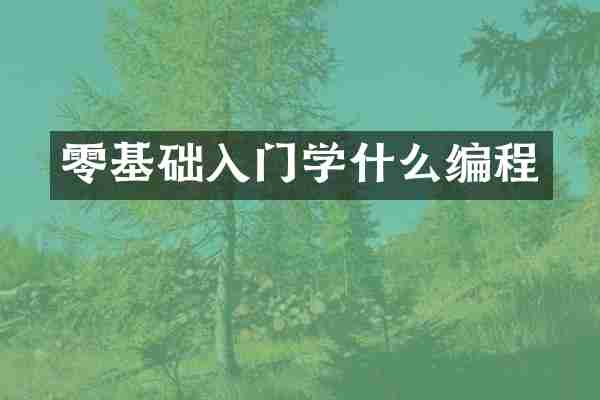 零基础入门学什么编程