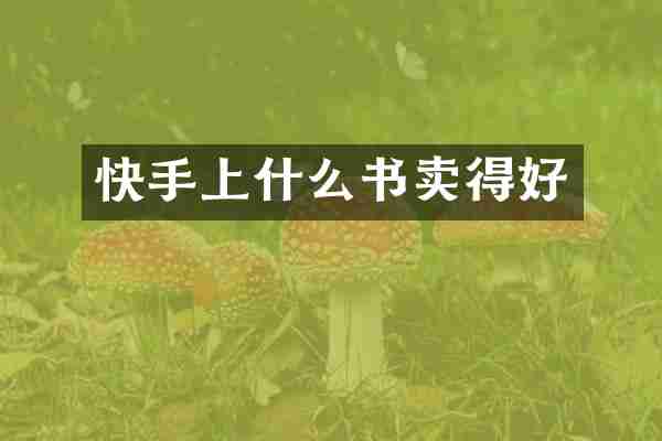 快手上什么书卖得好