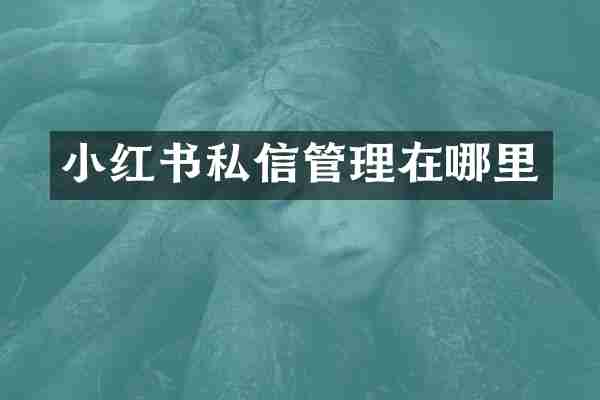 小红书私信管理在哪里