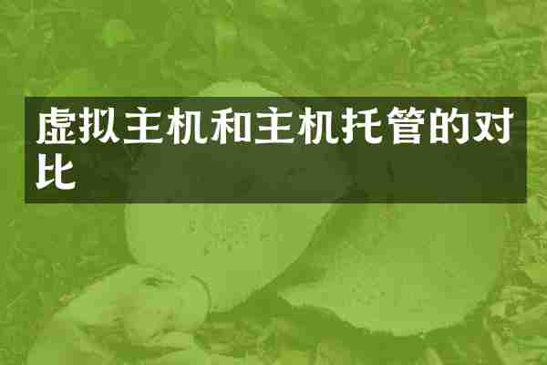 虚拟主机和主机托管的对比