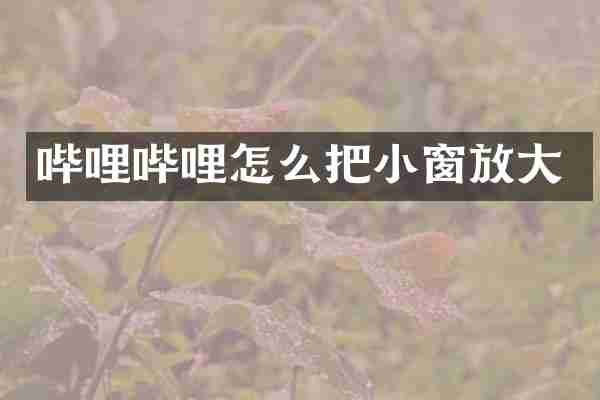 哔哩哔哩怎么把小窗放大