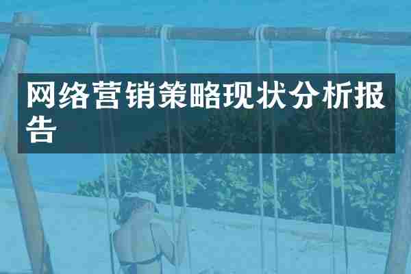 网络营销策略现状分析报告