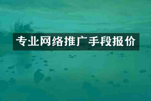 专业网络推广手段报价