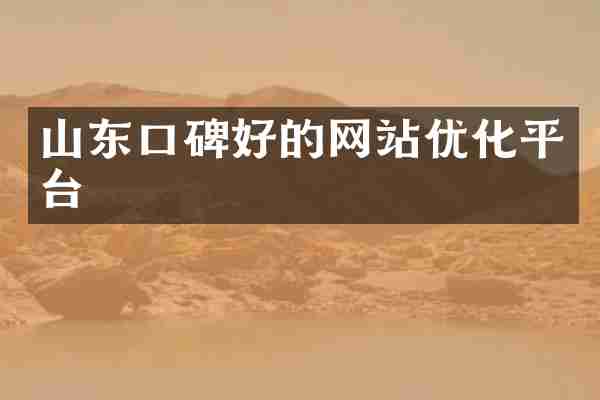 山东口碑好的网站优化平台