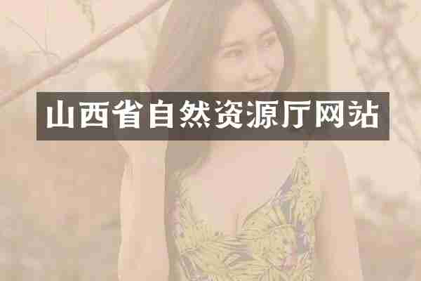 山西省自然资源厅网站