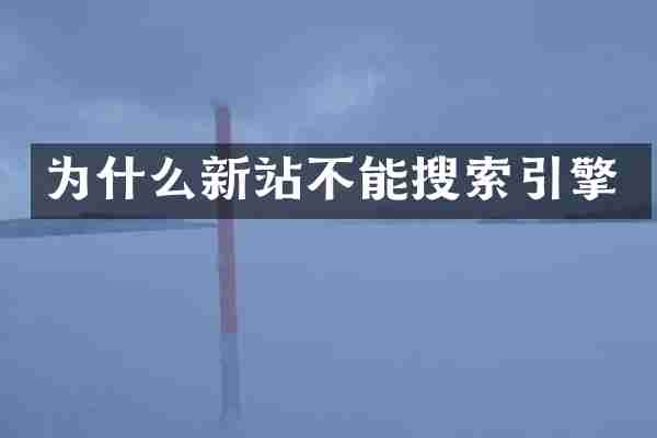 为什么新站不能搜索引擎