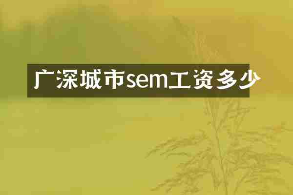 广深城市sem工资多少
