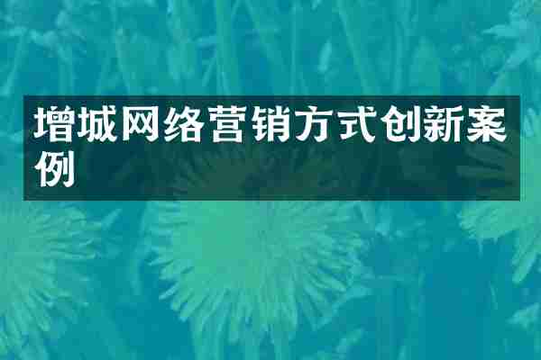 增城网络营销方式创新案例