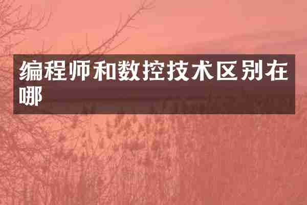 编程师和数控技术区别在哪