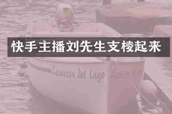 快手主播刘先生支棱起来