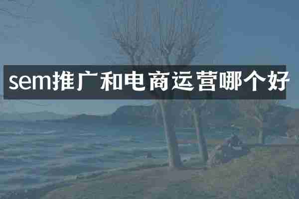 sem推广和电商运营哪个好
