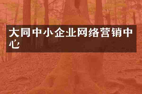 大同中小企业网络营销中心