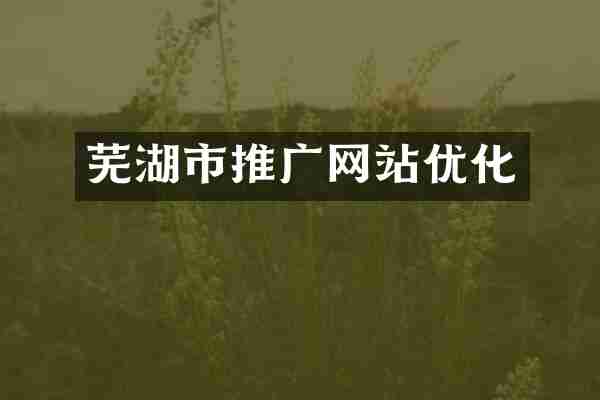 芜湖市推广网站优化