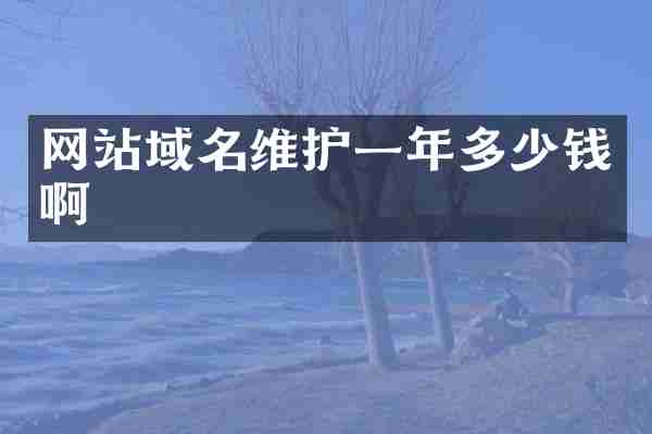 网站域名维护一年多少钱啊