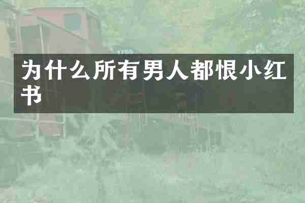 为什么所有男人都恨小红书