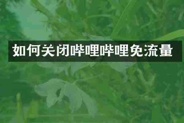 如何关闭哔哩哔哩免流量