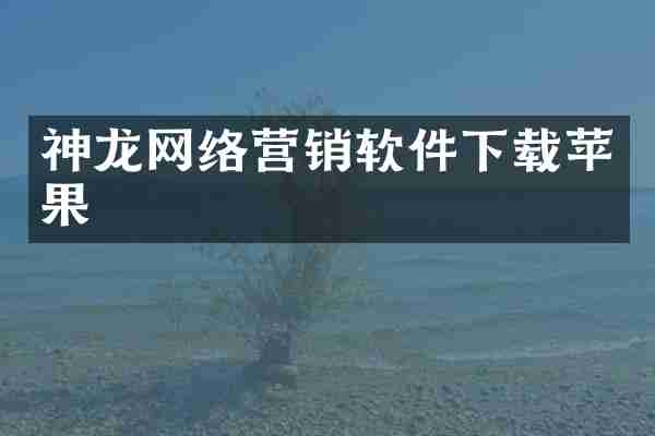 神龙网络营销软件下载苹果