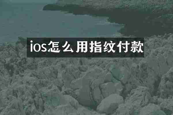 ios怎么用指纹付款