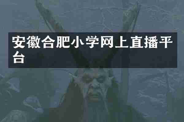 安徽合肥小学网上直播平台