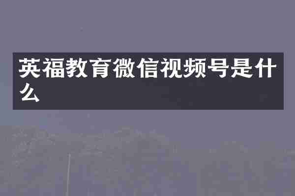 英福教育微信视频号是什么