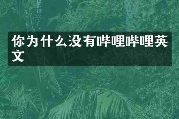 你为什么没有哔哩哔哩英文