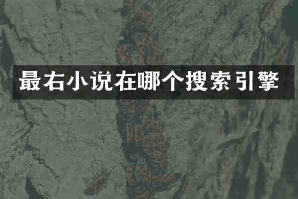 最右小说在哪个搜索引擎