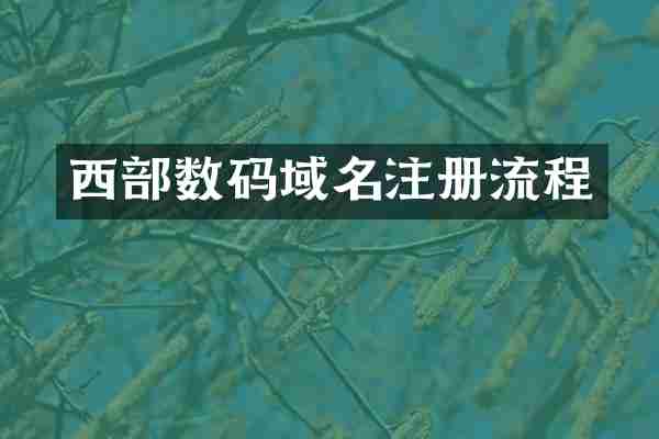 西部数码域名注册流程