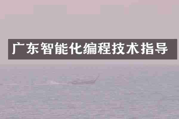 广东智能化编程技术指导