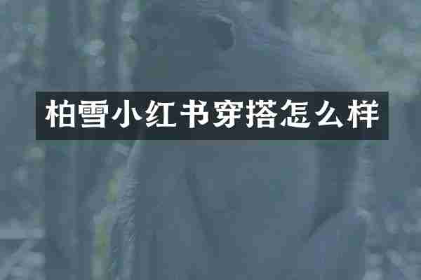 柏雪小红书穿搭怎么样