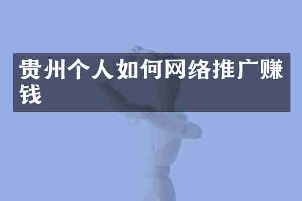 贵州个人如何网络推广赚钱