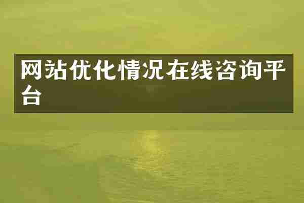 网站优化情况在线咨询平台
