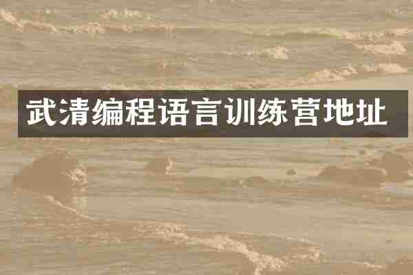 武清编程语言训练营地址