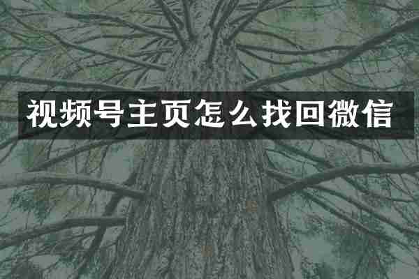 视频号主页怎么找回微信