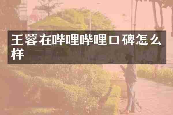 王蓉在哔哩哔哩口碑怎么样