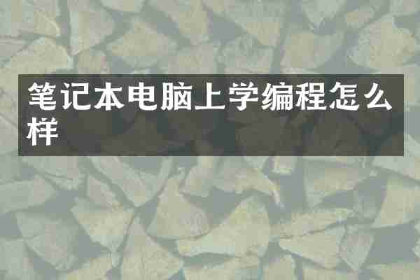 笔记本电脑上学编程怎么样