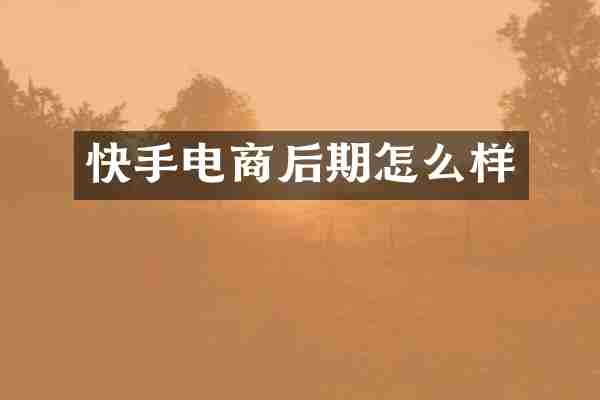 快手电商后期怎么样