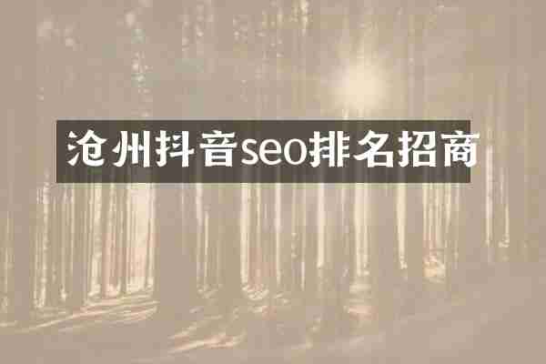 沧州抖音seo排名招商