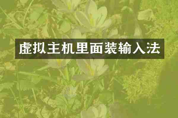 虚拟主机里面装输入法