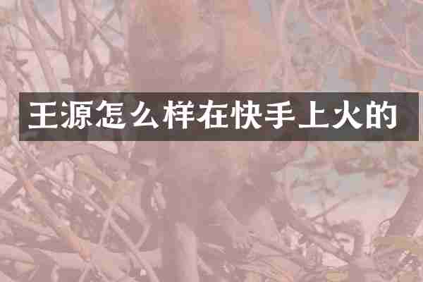 王源怎么样在快手上火的